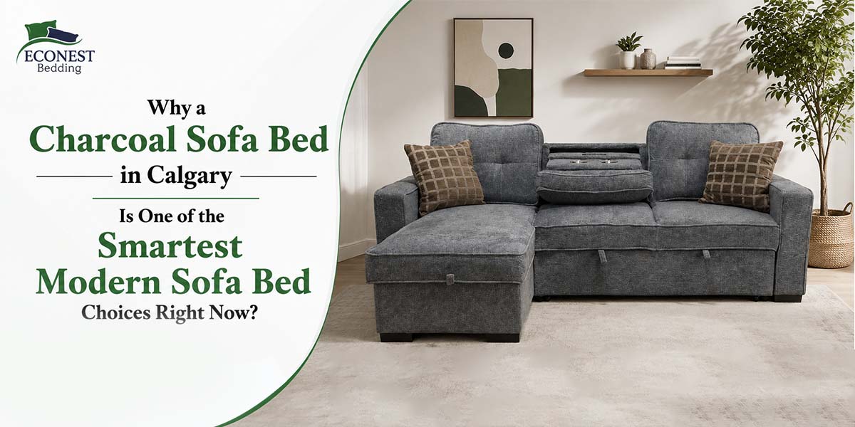 Why a Charcoal Sofa Bed in Calgary Is One of the Smartest Modern Sofa Bed Choices Right Now?