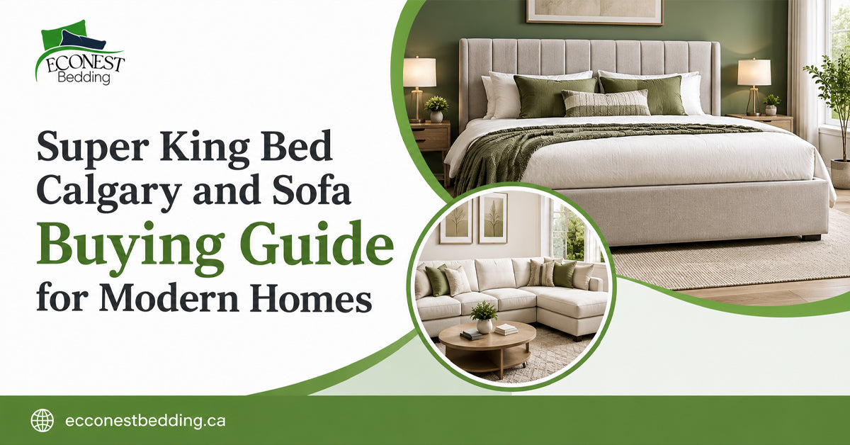 Super King Bed Calgary and Sofa Buying Guide for Modern Homes