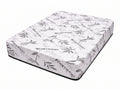 10" Bio Foam Mattress
